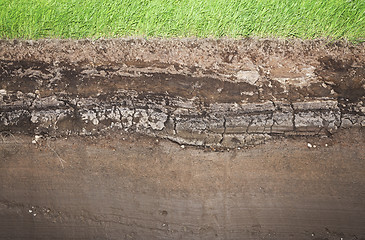 Image showing Real Grass and several underground soil layers
