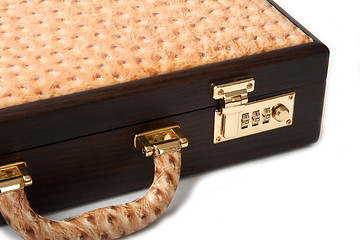 Image showing Walnut Ostrich Brief Case