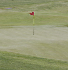 Image showing Golf Pin