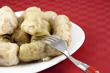 Image showing Sarma