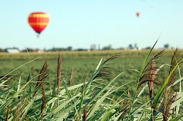 Image showing Hot Air Balloon