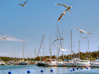 Image showing The harbor