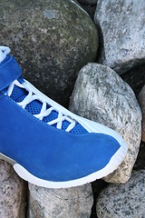 Image showing Blue and white shoe