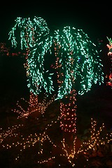 Image showing Palm Trees Made From Lights