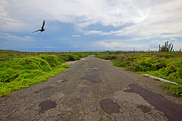 Image showing Aruba landscape