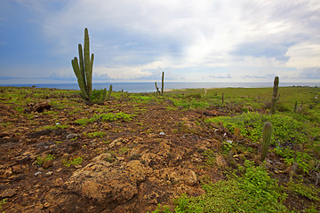 Image showing Aruba landscape