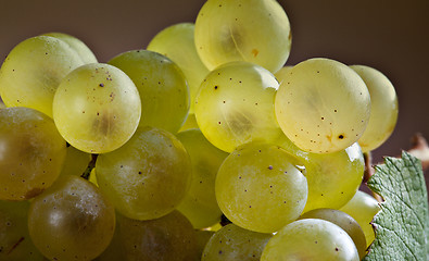 Image showing White Grapes