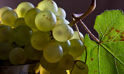 Image showing White Grapes