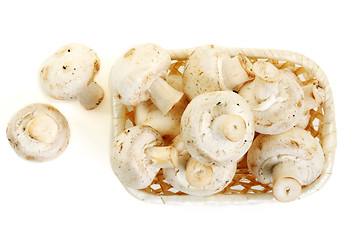 Image showing Mushrooms champignon in wooden basket