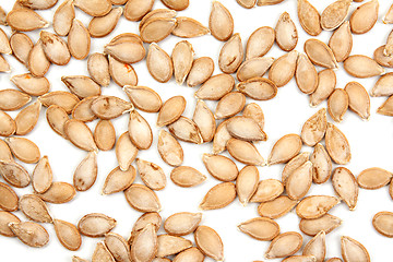 Image showing Pumpkin seed