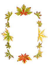 Image showing Autumn sheet by frame