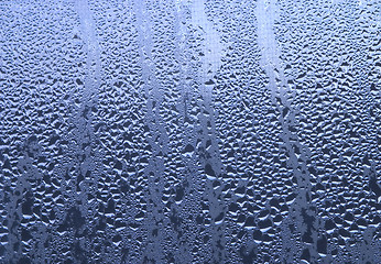 Image showing Droplets