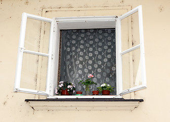 Image showing Opened the window, the flowers