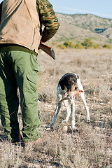 Image showing Hunting dog retreiving