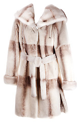 Image showing Women's coat of fur