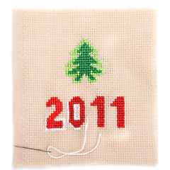 Image showing Embroidered spruce