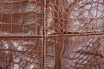 Image showing Background of brown leather