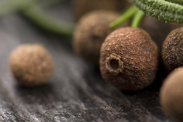 Image showing allspice with fresh rosemary