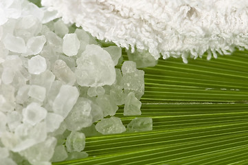 Image showing bath salt and palm leaf