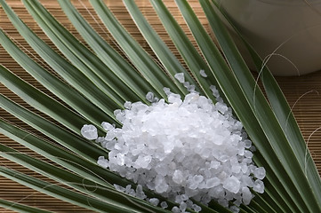 Image showing bath salt and palm leaf