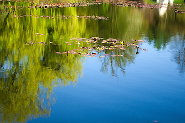 Image showing trees is reflected in lake