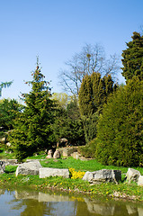 Image showing japanese garden. spring