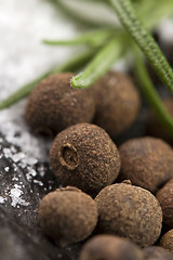 Image showing allspice with fresh rosemary