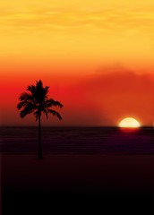 Image showing Palm against a setting sun