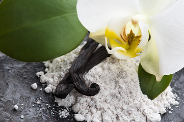 Image showing vanilla beans with aromatic sugar and flower