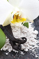 Image showing vanilla beans with aromatic sugar and flower