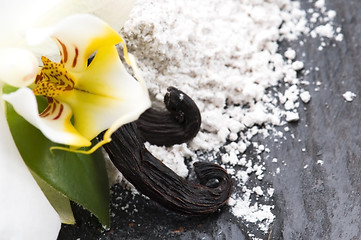 Image showing vanilla beans with aromatic sugar and flower