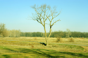 Image showing autumn landscape 