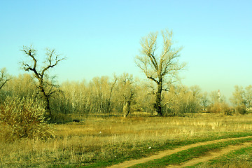 Image showing autumn landscape 