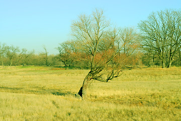 Image showing autumn landscape 