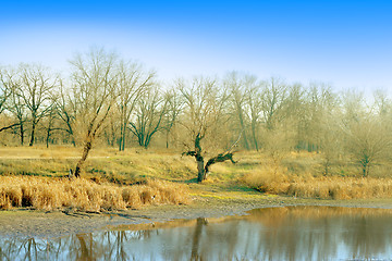 Image showing autumn landscape 