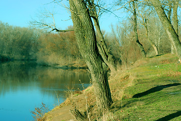 Image showing autumn landscape 