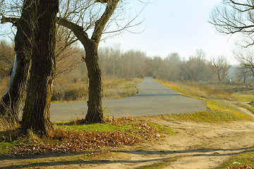 Image showing autumn landscape 