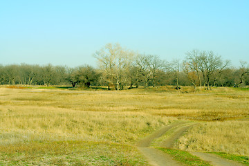 Image showing autumn landscape 