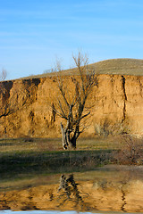 Image showing autumn landscape 