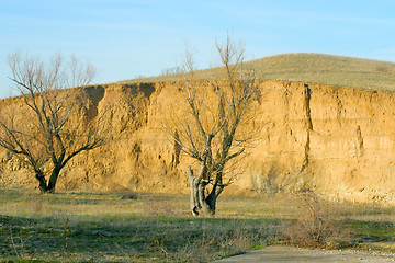 Image showing autumn landscape 