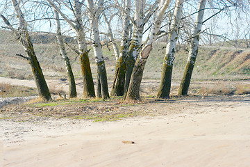 Image showing autumn landscape 