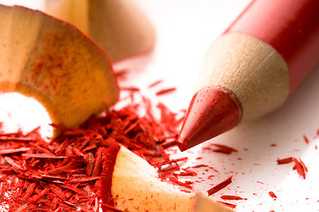 Image showing Sharpened pencils and wood shavings