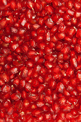 Image showing Background of red  seeds