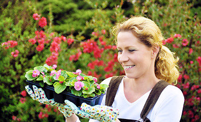 Image showing Woman with container-grown plants