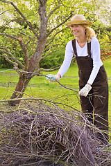 Image showing Young woman cleaning tree limbs