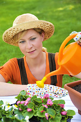 Image showing Young woman watering flowers