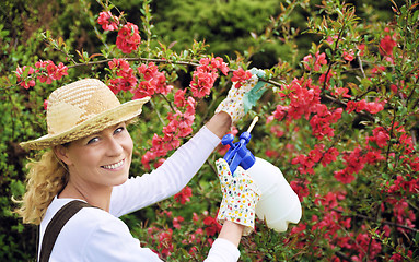 Image showing Young woman spraying tree