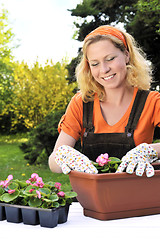 Image showing Young woman gardening - planting flowers