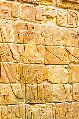 Image showing Egyptian wall