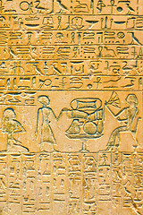 Image showing Egyptian hieroglyphs